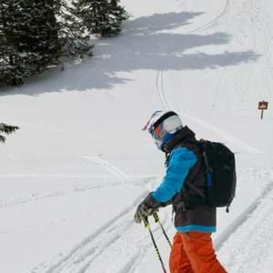 Meet your Posher, Barry